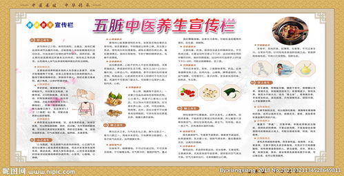 五臟中醫養生 調和陰陽，身心和諧